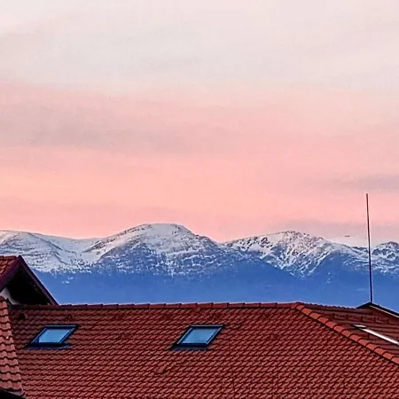 Two Balconies Mountain View - 300mbps Wi-fi アパート