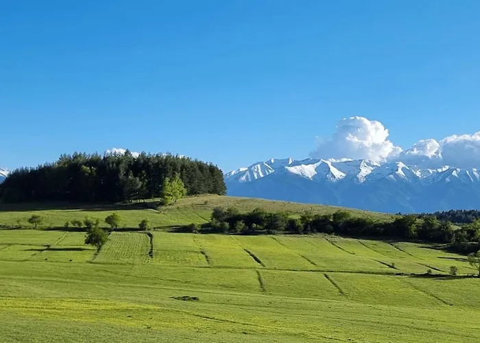 Mountain Paradise 1 - 1 Bedroom South Facing Balcony - 300mbps Wi-fi Bansko